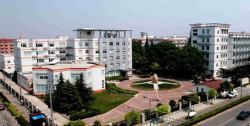 中國激光產業園大機會