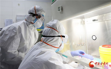 詮釋初心使命 解決重大醫療問題--甘肅省人民醫院臨床研究與轉化醫學研究所抗疫紀實(圖/視頻)