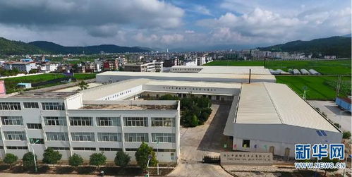 云南永勝 堅持黨建引領(lǐng) 產(chǎn)業(yè)培育積蓄新動能