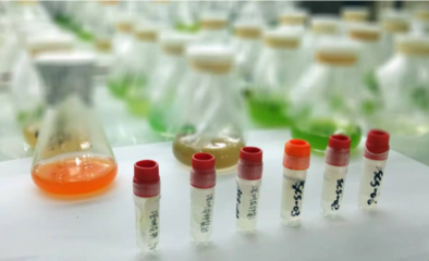 創(chuàng)新向未來,水密碼以科技之力點亮人文之美