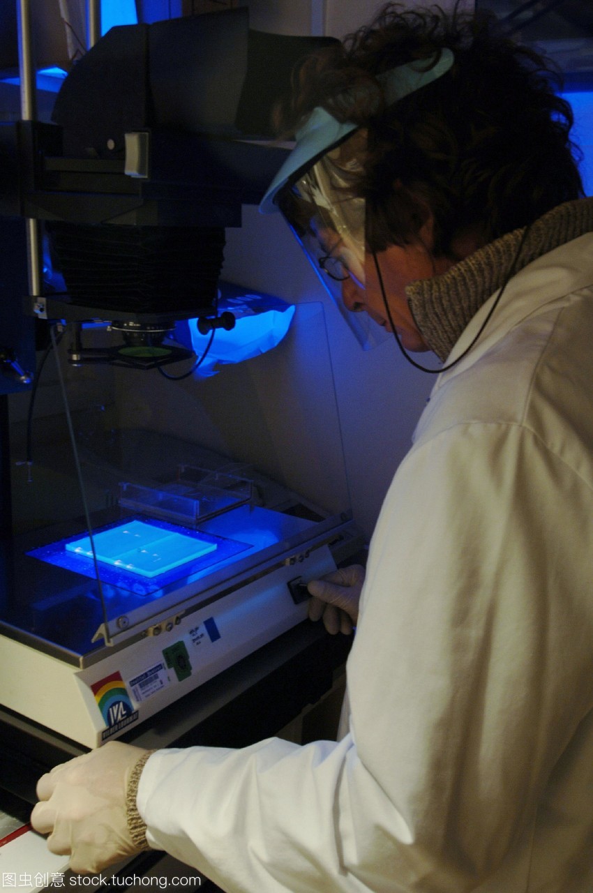 禽流感的研究。科學(xué)家研究凝膠電泳的結(jié)果用于禽流感病毒的基因組序列。病毒的片段的DNA脫氧核糖核酸被添加到應(yīng)用凝膠和電流。這使核苷酸堿基沿著凝膠分離根據(jù)他們的大小。在過程運(yùn)行基地作為樂隊(duì)出現(xiàn)在凝膠。基地可以讀取的序列確定的病毒株。病毒株H5N1可以被吸入傳染給人類受感染的鳥類的糞便也可以是致命的。人們擔(dān)心它可能變異成一種能在人與人之間傳播可能導(dǎo)致大流行。法國巴斯德研究所拍攝。