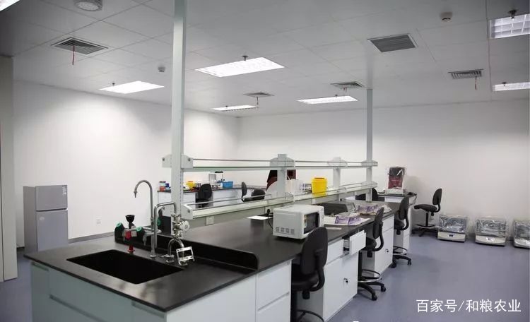 黑龍江省農科院農產品質量安全研究所榮獲"黑龍江省巾幗建功.