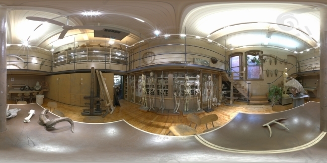 HDR生物研究所環(huán)境貼圖