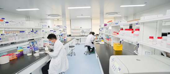 生物島實驗室新冠病毒基因組大數據在線分析系統在廣州正式上線