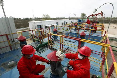 中國石油遼河油田曙采廠 將突破瓶頸的核心技術 變成 專利