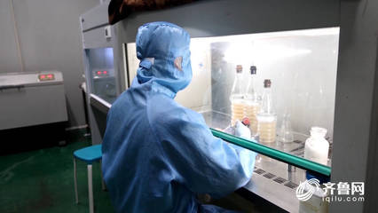 一家一個小工廠!“菌中燕窩”金耳在德州實現工廠化養殖,智慧菇房助農增收